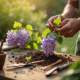 Mains préparant une jeune vigne de glycine au jardin